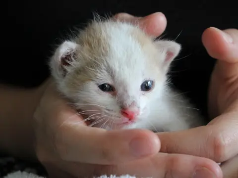 Conseils pour briller en table finale